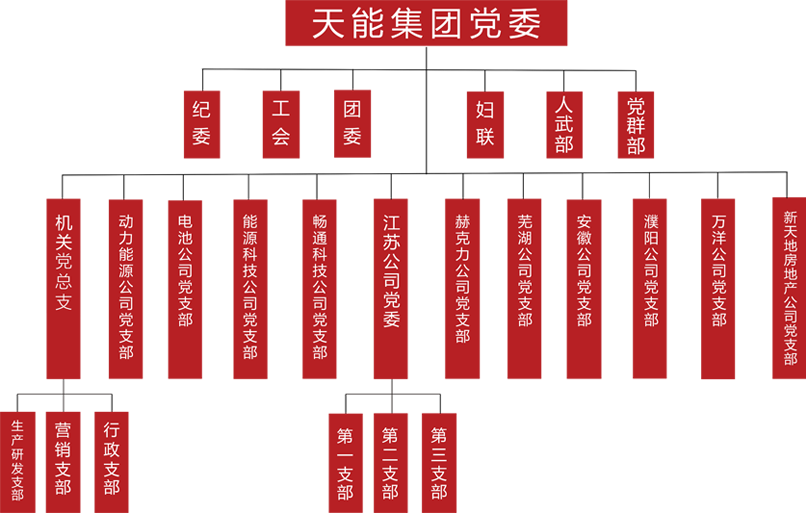 明升mansion88建团党委组织架构
